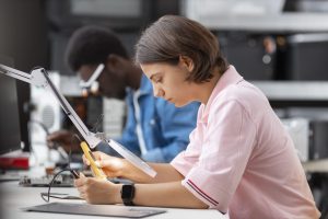 5 Reasons to Pursue STEM Program Certification Online 