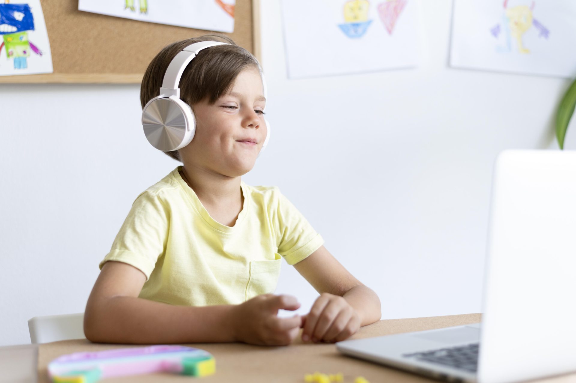 Special Education: Virtual Classroom and Individualized Instruction