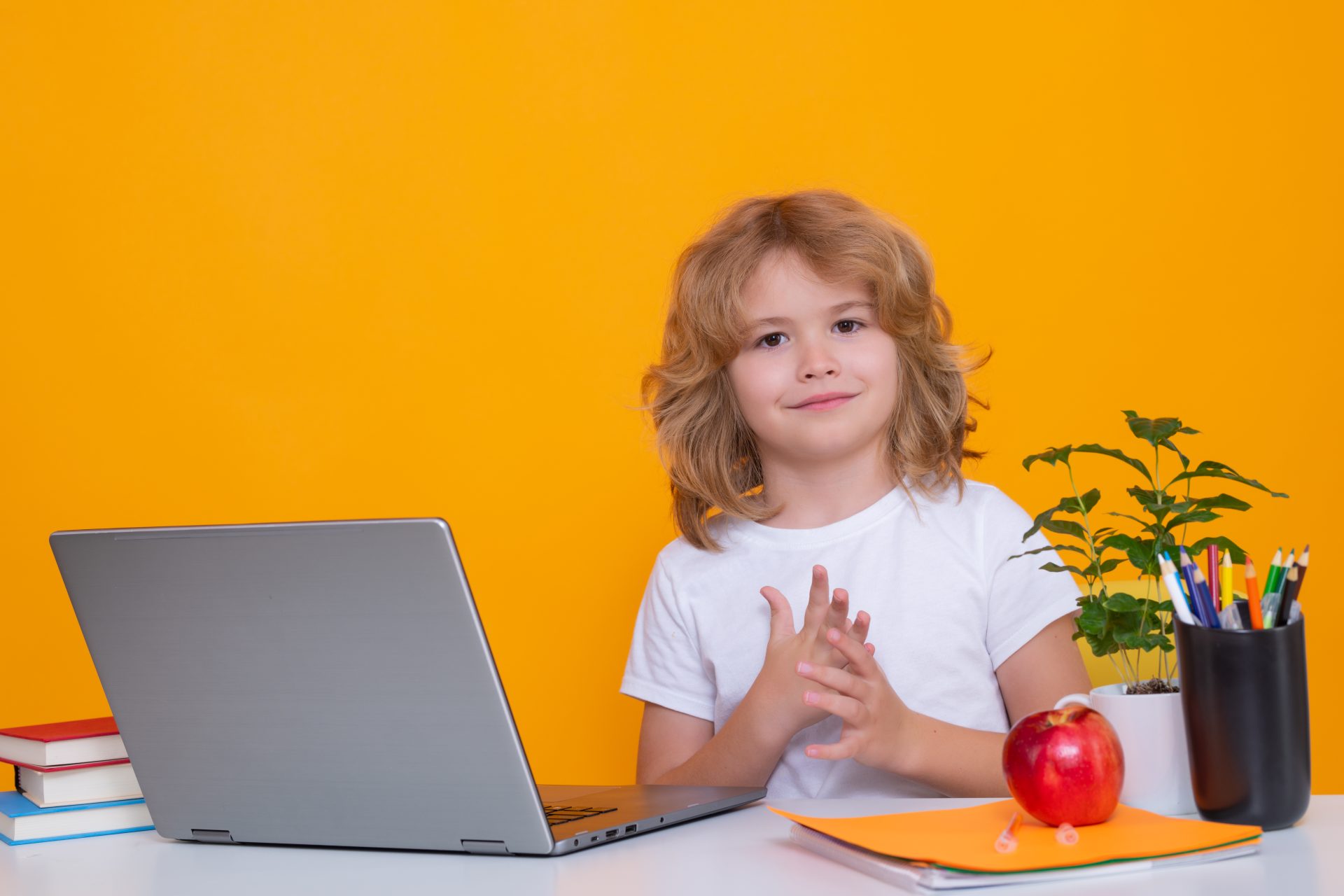 The Pros and Cons of Online Schooling