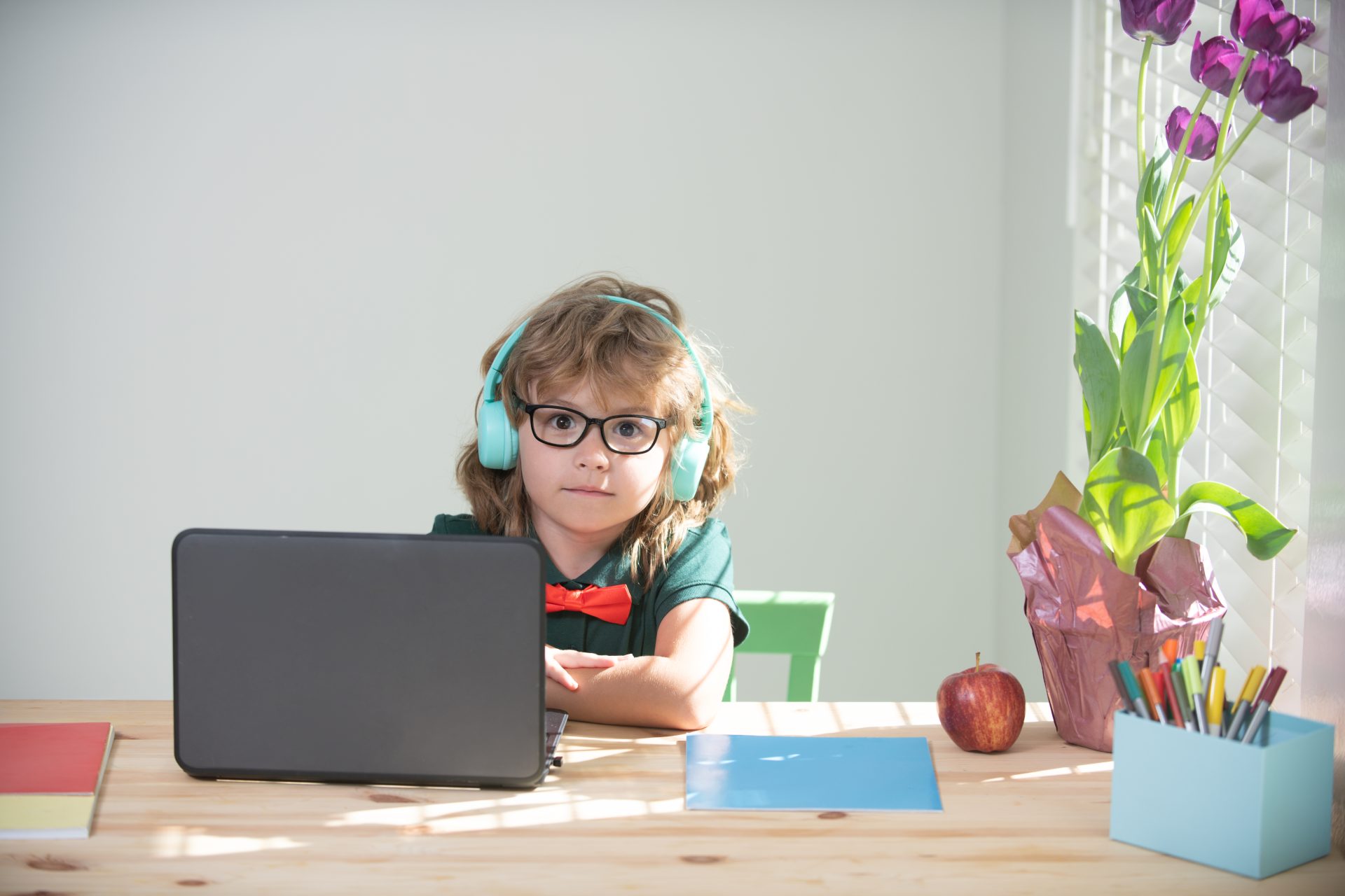 A Guide To Virtual Elementary Schools and Online Learning