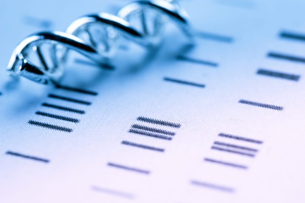 Mastering AP Biology Unit 5: Heredity Overview and Key Concepts