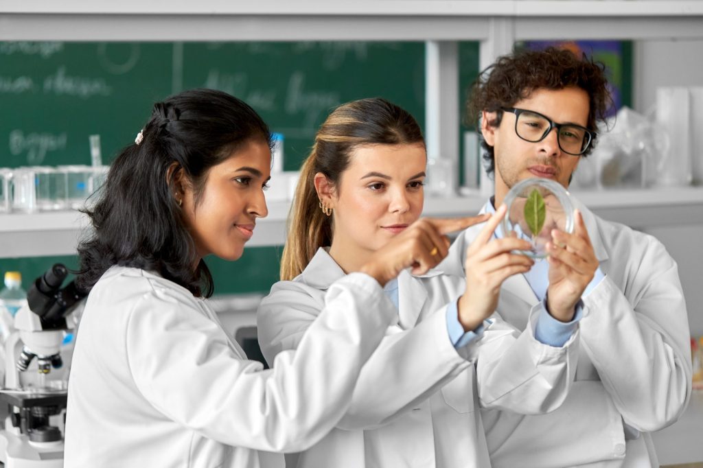 Ultimate Guide to the AP Bio Formula Sheet
