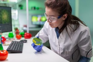 Understanding Advanced Placement (AP) Physics 1