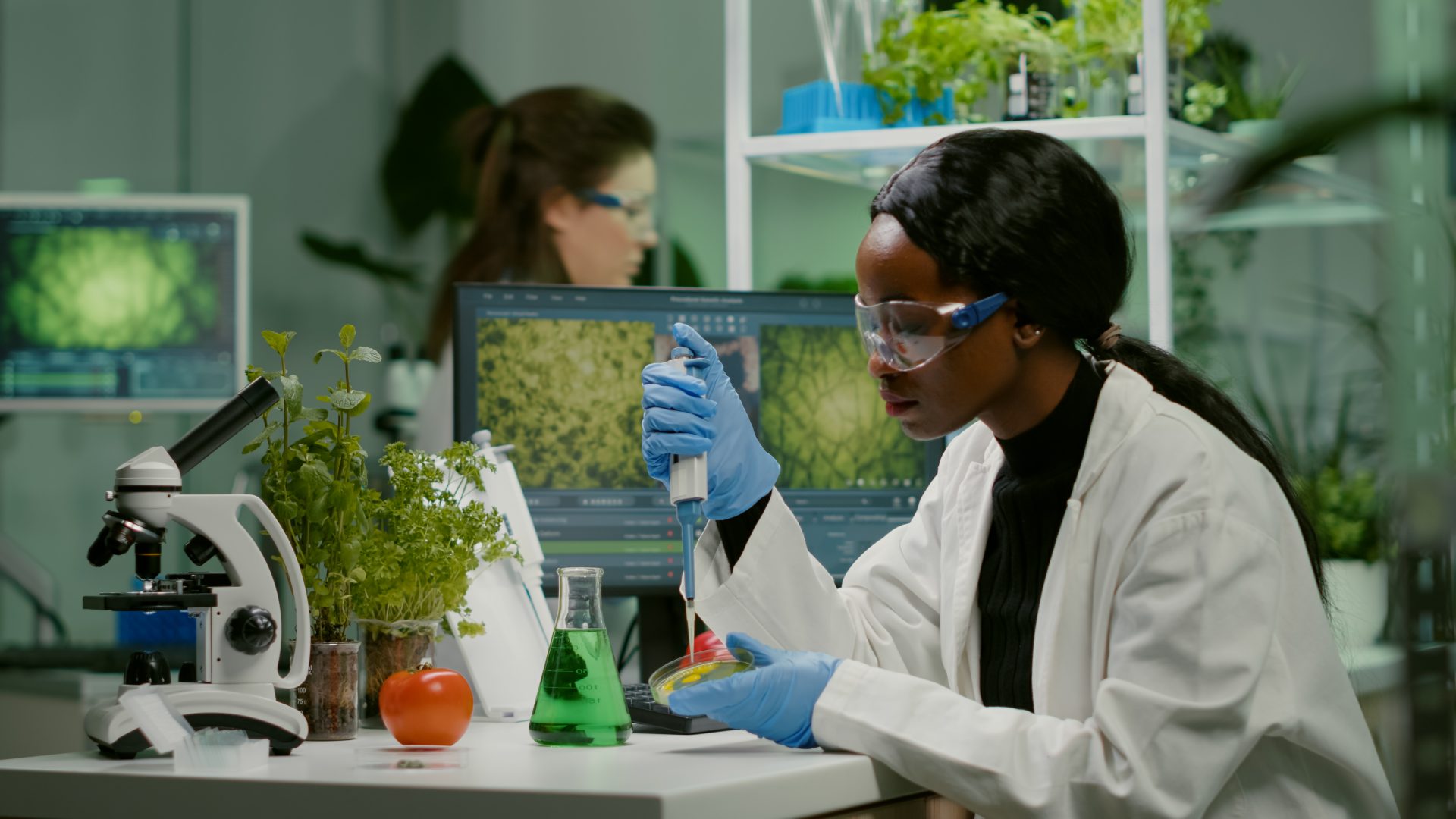 AP Bio Guide: AP Biology Score Calculator & Exam Curve Insights