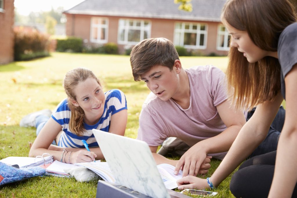 students studying outside