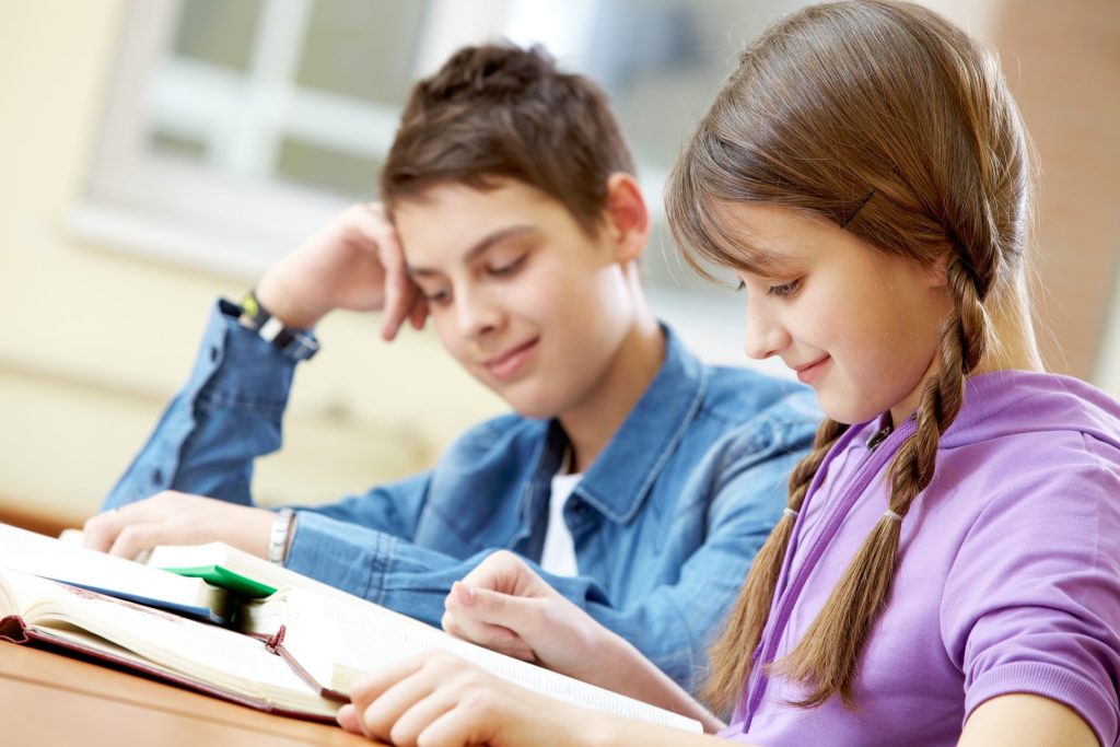 English Language Education Options in Romania