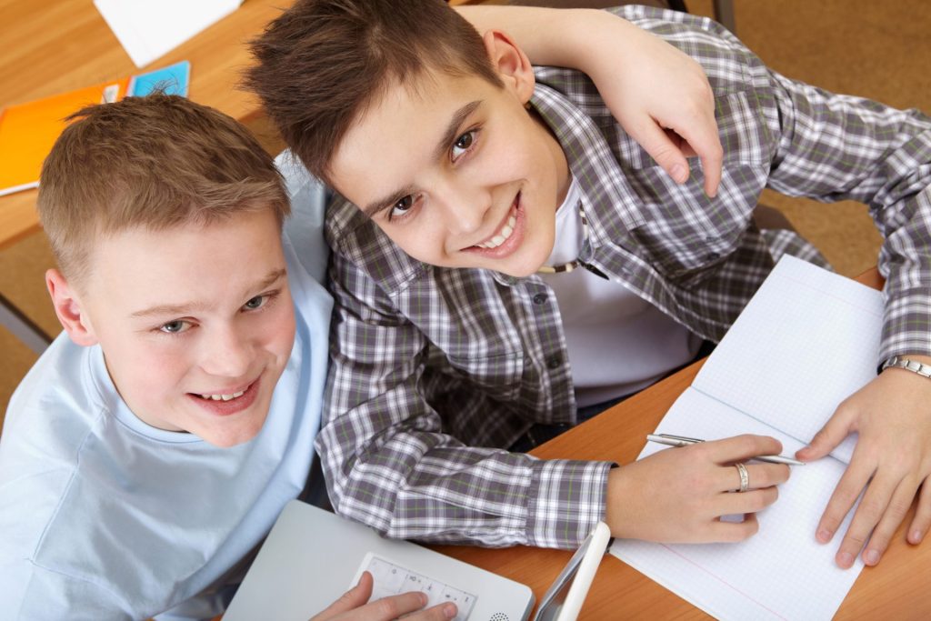 English Language Education Options in Romania